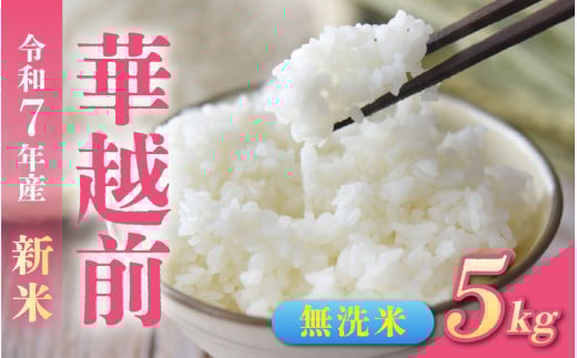 【先行予約】令和7年産新米　福井市産はなえちぜん 5kg【無洗米】「2025年8月下旬より順次発送」 [A-094013] / ハナエチゼン 華越前 花えちぜん 刈り取り時期 早生 品種 福井県産 新米 令和七年 7年 七年 ご飯 お米 白米 ブランド米 コメ こめ 精米 白米 無洗米 5キロ 2151765 - 福井県福井市