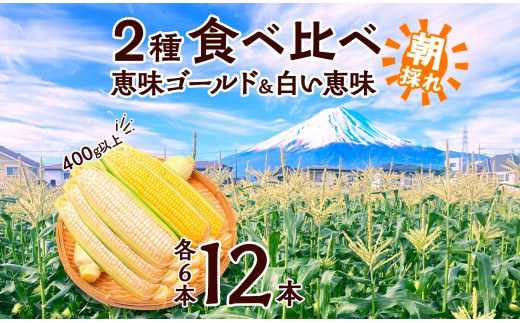 [レビューキャンペーン実施中]とうもろこし イエロー & ホワイト 2種 食べ比べ 恵味ゴールド 白い恵味 400g以上 各6本 計12本 野菜 おやつ 旬 産地直送 送料無料 湖南野菜出荷組合 山梨県 富士河口湖町 新鮮 甘み ジューシー 夏 野菜セット 旬の味覚