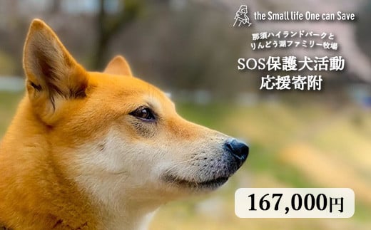 那須ハイ＆りんどう湖　SOS保護犬活動　お礼品なし〔P-366〕