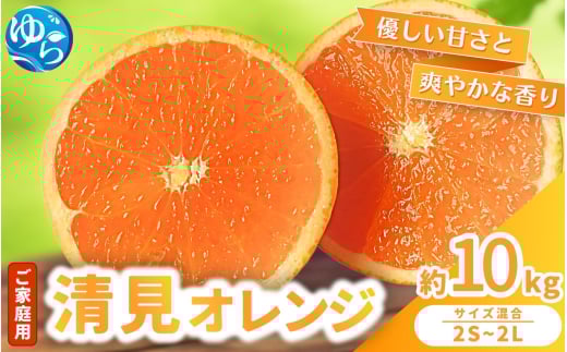 【来シーズン 先行予約】≪家庭用≫ 清見オレンジ 約10kg ※2026年3月上旬～順次発送 農家直送 / くだもの  果実  柑橘 果物 フルーツ 国産 和歌山県 由良町 清見  人気 おすすめ 和歌山 甘い きよみ 清見おれんじ 訳あり 家庭用 【nktn024】 2115933 - 和歌山県由良町
