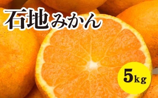 みかん 柑橘【先行受付】【2025年12月以降発送】糖度が高く濃厚！ 石地みかん＜約5kg＞広島 三原 佐木島 鷺島みかんじま 017016 776913 - 広島県三原市