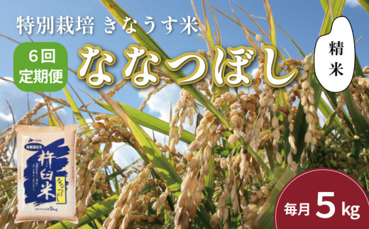 【精米6ヶ月定期便】特別栽培「きなうす米」ななつぼし5kg×6回　K004 261242 - 北海道栗山町