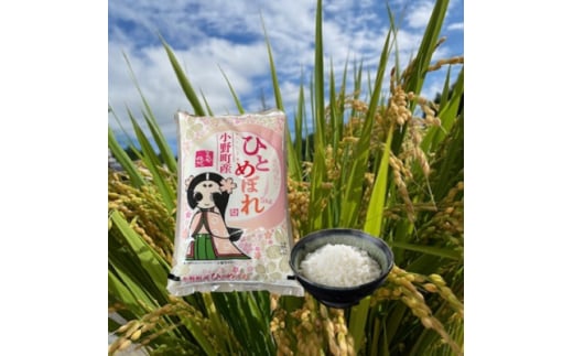 令和6年産福島県小野町産ひとめぼれ　5kg　精米【1630012】