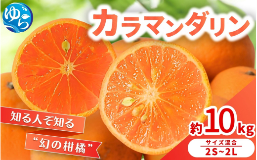 【来シーズン 先行予約】カラマンダリン 約10kg ※2026年3月下旬～順次発送 農家直送 / くだもの  果実  柑橘 果物 フルーツ 国産 和歌山県 由良町 からまんだりん カラ 人気 おすすめ 和歌山 甘い おれんじ【nktn027】 2115935 - 和歌山県由良町