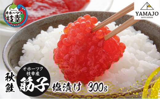 オホーツク枝幸産 秋鮭 筋子300g［塩漬け］山上佐藤水産 【 魚貝類 いくら 魚卵 北海道 オホーツク 枝幸 】 308144 - 北海道枝幸町