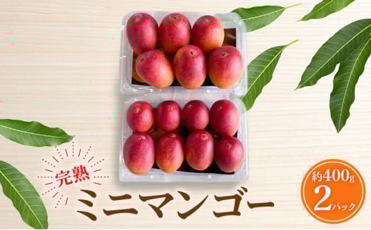 【受付期間:2025年6月25日まで】マンゴー 完熟ミニマンゴー 約800g(約400ｇ×2パック) 浜松赤土産 果物 くだもの フルーツ 完熟 濃厚 甘い ご自宅用 幻といわれるマンゴー  静岡県 浜松市[№5360-0871]