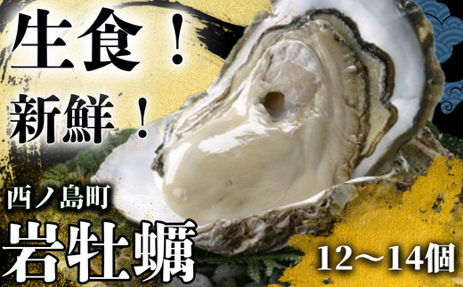 隠岐のいわがき　12〜14個