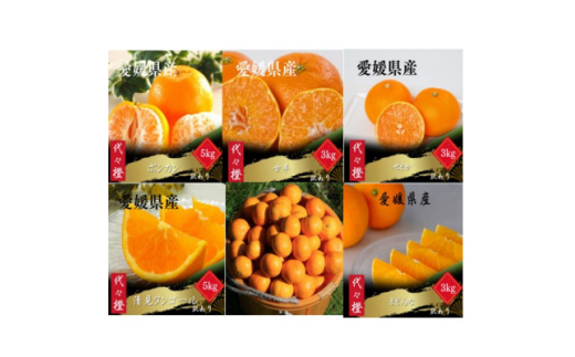 ＜発送月固定定期便＞＜訳あり＞みかん柑橘のある暮らし＜柑橘詰め合わせ便＞＜H83-53＞全6回【4068842】