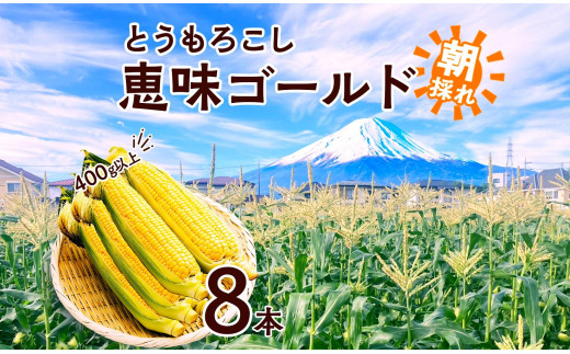 [レビューキャンペーン実施中]とうもろこし 恵味 ゴールド 400g以上 × 8本 計3.2kg以上 糖度17度以上 トウモロコシ スイートコーン 玉蜀黍 イエローコーン 黄 夏野菜 ジューシー 野菜 おやつ 旬 産地直送 湖南野菜出荷組合 山梨県 富士河口湖町 恵味ゴールド 収穫時期 新鮮 グルメ 湘南野菜