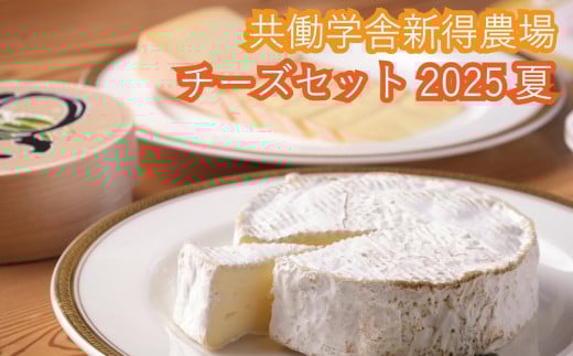 F-1801 共働学舎新得農場チーズセット 2025夏 2153166 - 北海道新得町