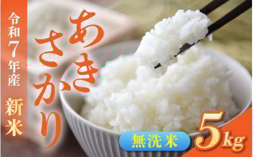 【先行予約】令和7年産新米　福井市産あきさかり 5kg【無洗米】「2025年10月初旬より順次発送」 [A-094012] / あきさかり アキサカリ 福井県産 新米 令和七年 食品 ご飯 お米 白米 ブランド米 米 コメ こめ 精米 白米 無洗米 5キロ 2151764 - 福井県福井市