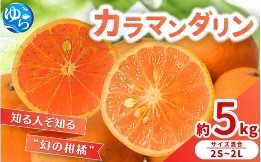 【来シーズン 先行予約】カラマンダリン 約5kg ※2026年3月下旬～順次発送 農家直送 / くだもの  果実  柑橘 果物 フルーツ 国産 和歌山県 由良町 からまんだりん カラ 人気 おすすめ 和歌山 甘い おれんじ【nktn026】 2115934 - 和歌山県由良町