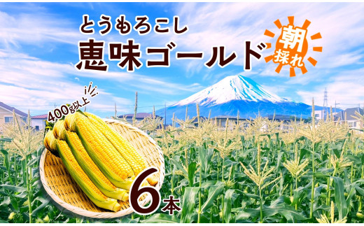 [レビューキャンペーン実施中]とうもろこし 恵味 ゴールド 400g以上 × 6本 高糖度 トウモロコシ とうもろこし恵味ゴールド スイートコーン 玉蜀黍 イエローコーン 黄 夏野菜 甘い ジューシー 野菜 おやつ 旬 産地直送 湖南野菜出荷組合 山梨県 富士河口湖町 収穫時期 新鮮 湘南野菜 家庭菜園