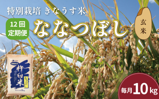 【玄米12ヶ月定期便】特別栽培「きなうす米」ななつぼし10kg×12回　U006