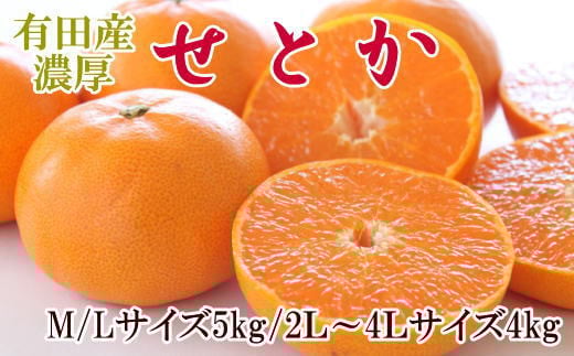  一度は食べていただきたい「有田産のせとか」約4～5kg（サイズおまかせ）※2026年2月中旬～2026年3月上旬頃に順次発送【tecj1031】 