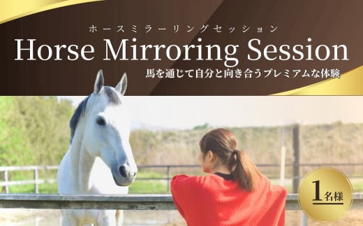 ホースミラーリングセッション  1名様 ｜ 乗馬 馬とのふれあい 研修 自己研鑽 自己内省 チームビルディング【148563-001】