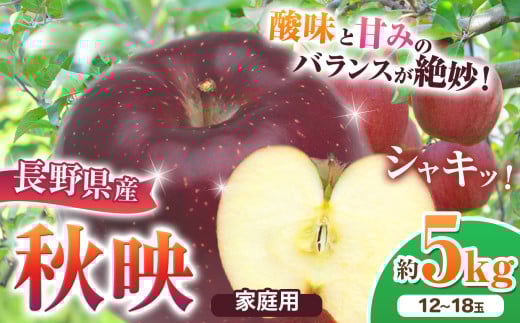 *【2025年先行予約】 家庭用 秋映 約5kg｜ 北條農園 リンゴ りんご 林檎 果物 フルーツ 果実 果汁  秋映 家庭用 長野県 松川村 信州