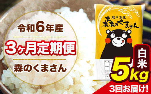 令和6年産 森のくまさん 白米 5kg 5kg×1袋 計3回お届け 《お申し込み月の翌月から出荷開始》 お米 こめ 熊本県産 ご飯 備蓄