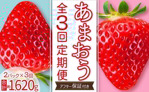 【 あまおう 定期便 全3回】福岡県産あまおう 約270g 前後 ×２パック いちご イチゴ あまおう 福岡限定 ブランド 果物 フルーツ ストロべリー スイーツ ケーキ パフェ スムージー ジャム 国産 福岡県 東峰村 お取り寄せ 送料無料 3S20