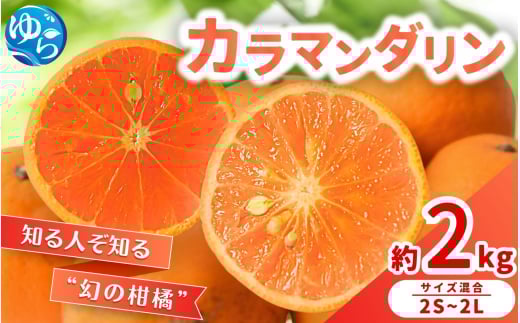 【来シーズン 先行予約】カラマンダリン 約2kg ※2026年3月下旬～順次発送 農家直送 / くだもの  果実  柑橘 果物 フルーツ 国産 和歌山県 由良町 からまんだりん カラ 人気 おすすめ 和歌山 甘い おれんじ【nktn025】 2115719 - 和歌山県由良町