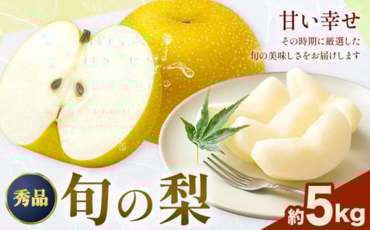 おまかせ梨 秀品 約5kg 日本フルーツ株式会社《8月上旬-10月末頃出荷》熊本県 荒尾市 なし 梨 果物 フルーツ デザート ギフト ご贈答