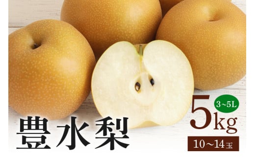豊水梨 箱込約 5kg（JA新ひたち野）梨
