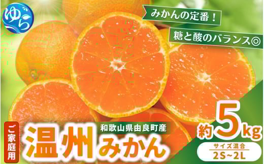 【先行予約】家庭用 温州みかん 約5kg 