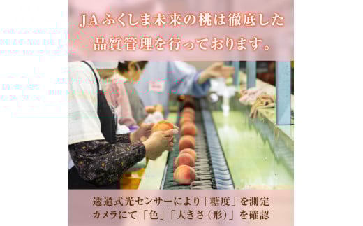福島県伊達市のふるさと納税 2025年出荷分 《先行予約》 糖度12度以上 福島県産 あかつき 小玉 約5kg 特秀 透過式光センサー選別 2025年7月下旬～2025年8月上旬発送 先行予約 予約 伊達の桃 桃 もも モモ 果物 くだもの フルーツ 名産品 国産 食品 F20C-586