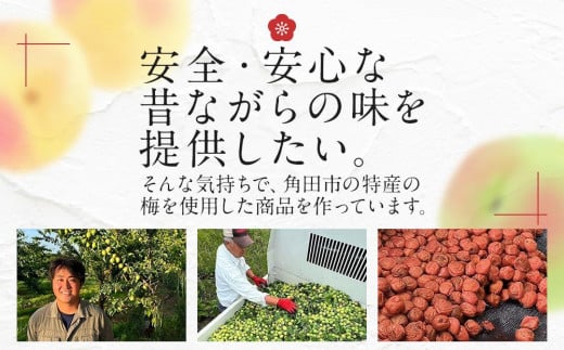宮城県角田市のふるさと納税 【先行予約】＜訳あり＞宮城県角田産【無添加】まごころ手作り梅干し(800g)【10月下旬以降発送】