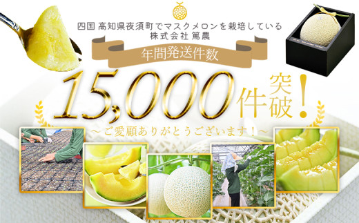 高知県香南市のふるさと納税 メロン 青肉 1玉 訳あり 先行予約 訳あり商品 人気 高知 マスクメロン 甘い 一果相伝 家庭用 青肉 フルーツ メロン 1万円以上 10000円以上 果物 デザート 訳あり 国産 常温 人気 おすすめ 旬 tn-0024