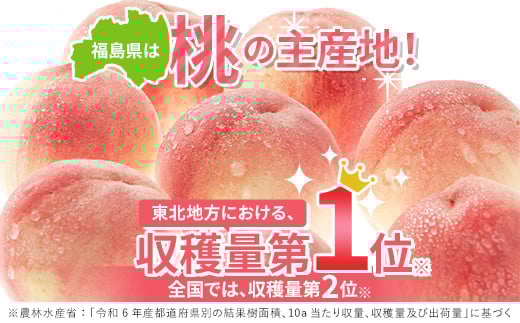 福島県伊達市のふるさと納税 2025年出荷分 《先行予約》 糖度12度以上 福島県産 あかつき 小玉 約5kg 特秀 透過式光センサー選別 2025年7月下旬～2025年8月上旬発送 先行予約 予約 伊達の桃 桃 もも モモ 果物 くだもの フルーツ 名産品 国産 食品 F20C-586