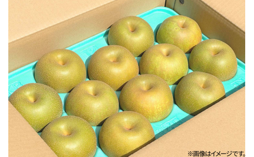にゃるめろん様　１０×3✨（秋田県産感謝セール） 三種町特産 品種お任せ メロン 2玉箱 / 秋田県三種町 | セゾンの