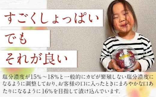 宮城県角田市のふるさと納税 【先行予約】＜訳あり＞宮城県角田産【無添加】まごころ手作り梅干し(800g)【10月下旬以降発送】