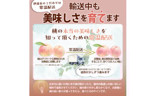 福島県伊達市のふるさと納税 2025年出荷分 《先行予約》 糖度12度以上 福島県産 あかつき 小玉 約5kg 特秀 透過式光センサー選別 2025年7月下旬～2025年8月上旬発送 先行予約 予約 伊達の桃 桃 もも モモ 果物 くだもの フルーツ 名産品 国産 食品 F20C-586