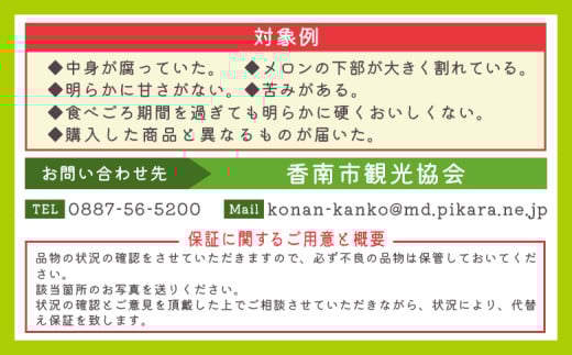 高知県香南市のふるさと納税 メロン 青肉 1玉 訳あり 先行予約 訳あり商品 人気 高知 マスクメロン 甘い 一果相伝 家庭用 青肉 フルーツ メロン 1万円以上 10000円以上 果物 デザート 訳あり 国産 常温 人気 おすすめ 旬 tn-0024