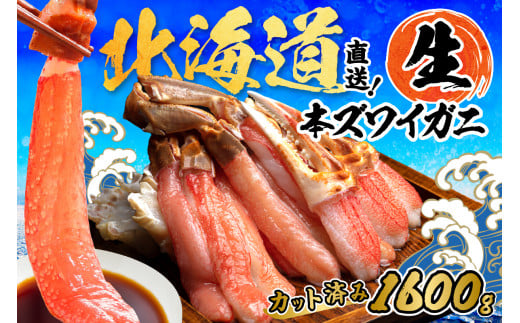 北見市加工 生冷本ズワイガニセット 800g×2パック 昆布入 ( 海鮮 魚介類 魚介 蟹 かに カニ セット 鍋 カニ鍋 カニ爪 ズワイガニ かにしゃぶ カット済 贈答 ギフト 熨斗 のし ふるさと納税 )【094-0072】