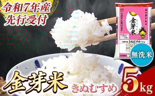 [先行受付]新米 令和7年産 BG無洗米・金芽米きぬむすめ 5kg [先行予約 新米予約 予約 節水 低カロリー 健康 ビタミン ミネラル つや お弁当 おいしい うまみ 甘み ふっくら 時短 簡単 島根県 安来市]