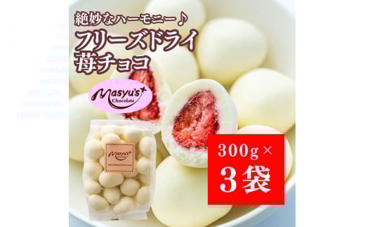 フリーズドライ苺チョコ 900g 300gx3袋 4月～10月発送 チョコレート チョコ スイーツ お菓子 おかし いちご ホワイトチョコ ギフト プレゼント 兵庫県 伊丹市[№5275-0737]