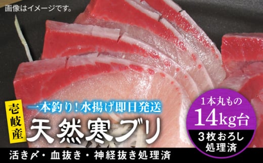 【14キロ台】 壱岐島産 天然寒ブリ（3枚おろし） 《壱岐市》【壱岐島　玄海屋】[JBS113]  ぶり 寒ぶり ブリ 魚 刺身 しゃぶしゃぶ ぶりしゃぶ 天然 2157120 - 長崎県壱岐市