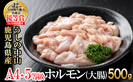 うしの中山 ホルモン(大腸)500g(500g×1袋) 黒毛和牛 和牛 肉 牛肉 国産 九州産 鹿児島県産 ホルモン 焼肉 日本一 p9-028
