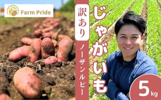 ＜先行予約＞【訳あり】Farm Prideが育てた じゃがいも ノーザンルビー 5kg | じゃがいも ノーザンルビー 野菜 料理 サラダ シチュー ニョッキ ポテトチップス 産地直送 株式会社farmpride 埼玉県 所沢市