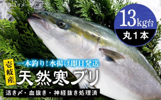 【13キロ台】壱岐島産天然寒ブリ（4～14キロ台・丸もの） 《壱岐市》【壱岐島　玄海屋】[JBS109] ぶり 寒ぶり ブリ 魚 刺身 しゃぶしゃぶ のし プレゼント ギフト