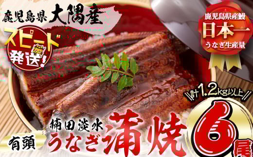 <入金確認後、2週間以内に発送!>楠田の極うなぎ 蒲焼き 190g以上×6尾(計1.1kg以上) e7-018-2w 2154814 - 鹿児島県志布志市