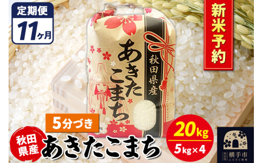 《令和7年産 新米受付》《定期便11ヶ月》あきたこまち 20kg【5分づき】秋田県産 こまちライン