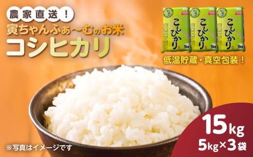 【先行予約2025年10月上旬から発送開始】コシヒカリ　15kg（5kg×3袋）令和7年産 　【 ふるさと納税 人気 おすすめ ランキング 米 精米 白米 お米 こしひかり コシヒカリ 千葉県 山武市 送料無料 】SMBX005