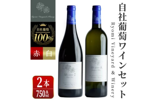 自社葡萄を使用したワイン2本セット  ピノノワール・ソーヴィニヨンブラン　750ml×各1本【1599871】
