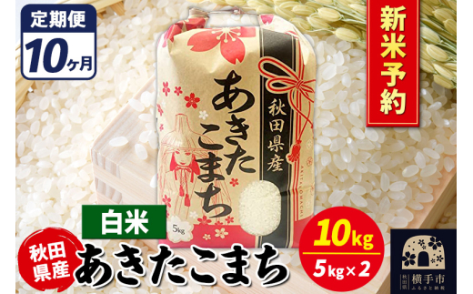 《令和7年産 新米受付》《定期便10ヶ月》あきたこまち 10kg【白米】秋田県産 こまちライン