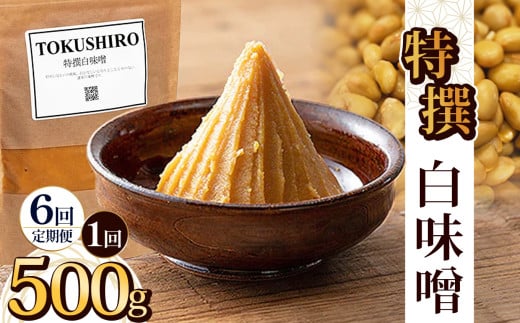 【定期便6回】特撰白味噌 500g | お味噌 味噌 みそ汁 オリジナル味噌  手づくり 手作り 送料無料 栃木県 下野市 2155431 - 栃木県下野市