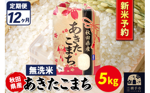 《令和7年産 新米受付》《定期便12ヶ月》あきたこまち 5kg【無洗米】秋田県産 こまちライン