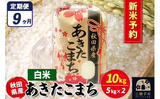 《令和7年産 新米受付》《定期便9ヶ月》あきたこまち 10kg【白米】秋田県産 こまちライン